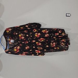 Long Blouse or see thru dress